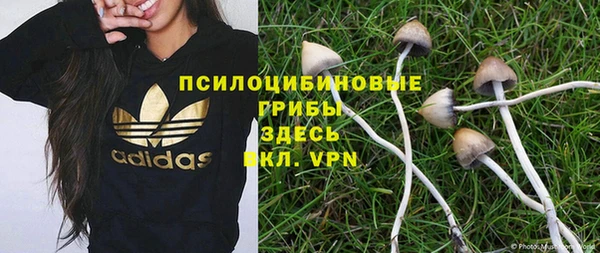 кокс Осташков