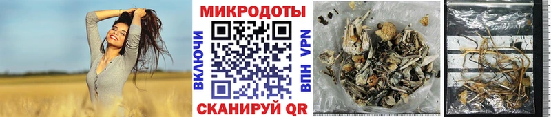Галлюциногенные грибы мицелий Уварово