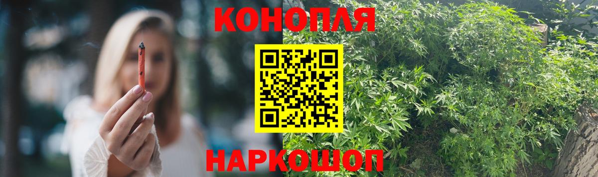 МАРИХУАНА ГИДРОПОН  Вход с VPN  Марихуана Ganja  Уварово  Бошки Шишки тримм  Каннабис сатива 
